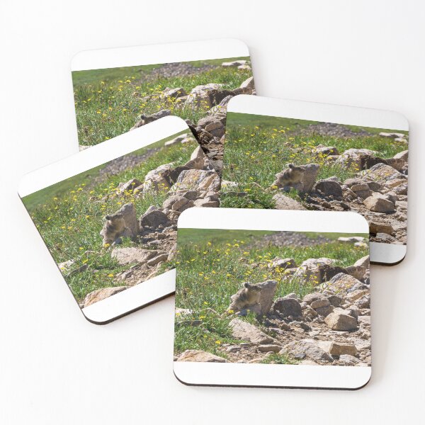 Item preview, Wildlife on Mount Democrat designed and sold by Cameronsiobhan2.