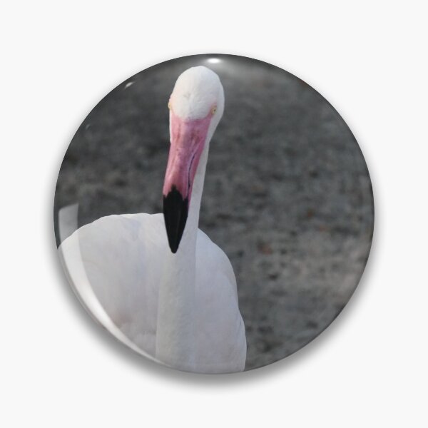 Item preview, Flamingo designed and sold by Cameronsiobhan2.
