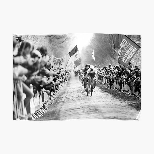 Fabian Cancellara (Trek-Segafredo). Paris-Roubaix 2016. Poster