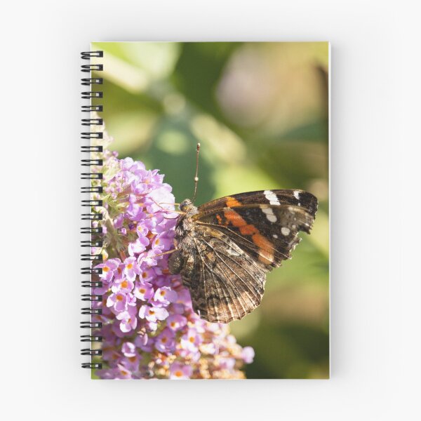 Item preview, Red Admiral Butterfly designed and sold by capturemily.