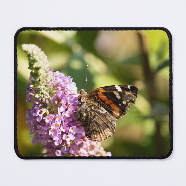 Item preview, Red Admiral Butterfly designed and sold by capturemily.