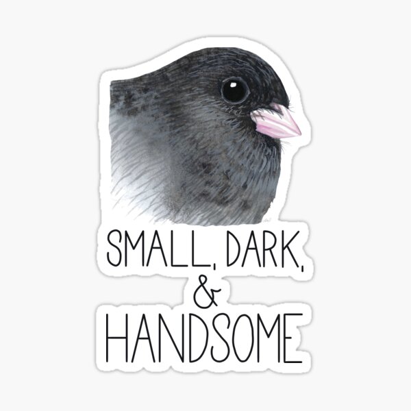 Small, dark, and Handsome (Dark-eyed Junco) Sticker