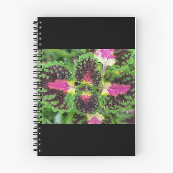Item preview, Watermelon Coleus  designed and sold by ArtByScience.