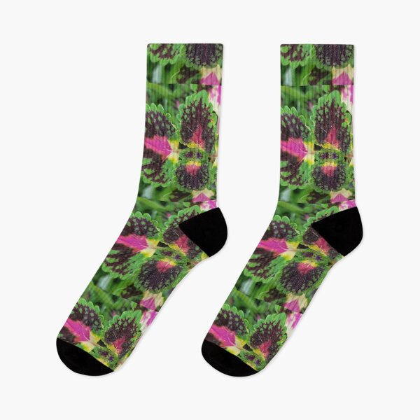 Item preview, Watermelon Coleus  designed and sold by ArtByScience.