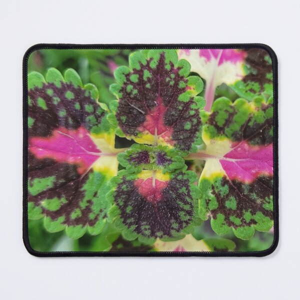Item preview, Watermelon Coleus  designed and sold by ArtByScience.