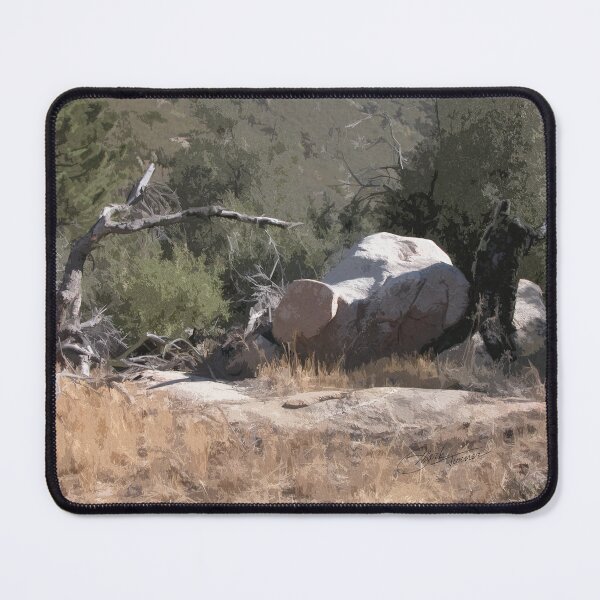 Item preview, Southwest Branch and Rock No. 1 designed and sold by MarkArTurner.