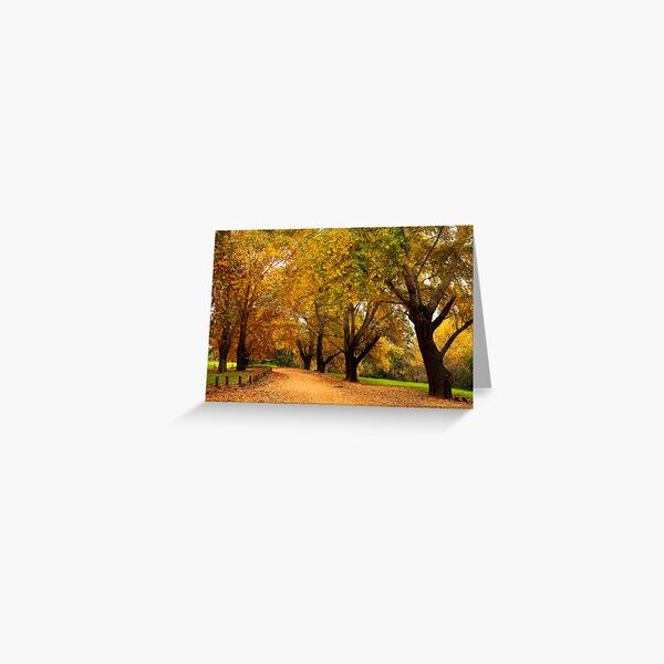 Item preview, Bega during autumn designed and sold by Darren Stones.