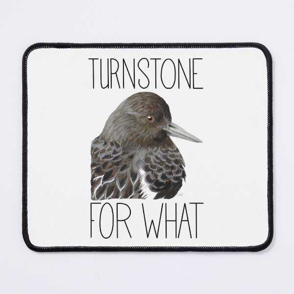 Item preview, Turnstone for What (Black Turnstone) designed and sold by LauraWolfArtist.