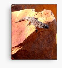 Just Warming my Back Canvas Print