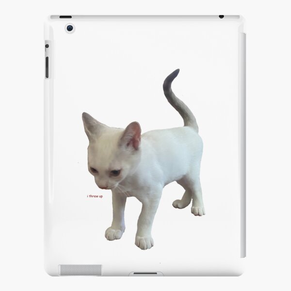 angry cat face meme iPad Case & Skin by auroragalavis