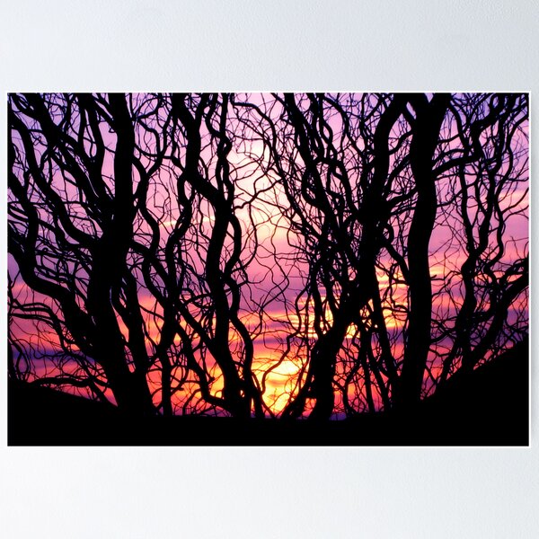 Item preview, Burning Sky designed and sold by Nicole Weil T..