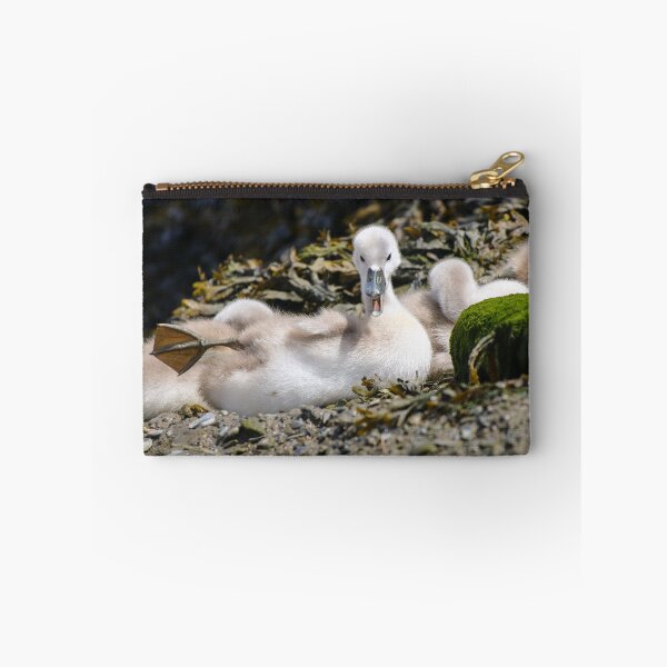 Item preview, Cygnet soñoliento designed and sold by GreyFeatherPhot.