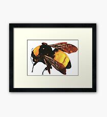 Tyler The Creator's Flower Boy Framed Print