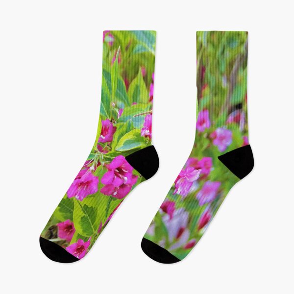 Item preview, Beautiful Green Weigela with Crimson Flowers designed and sold by myrubiogarden.