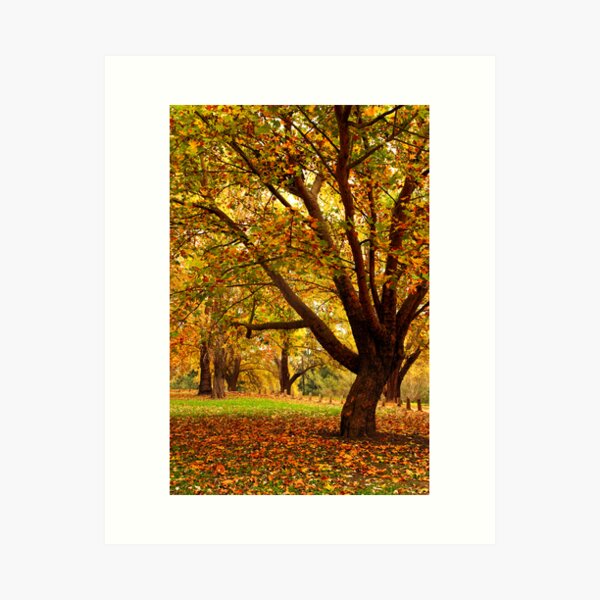 Item preview, Bega during autumn designed and sold by Darren Stones.