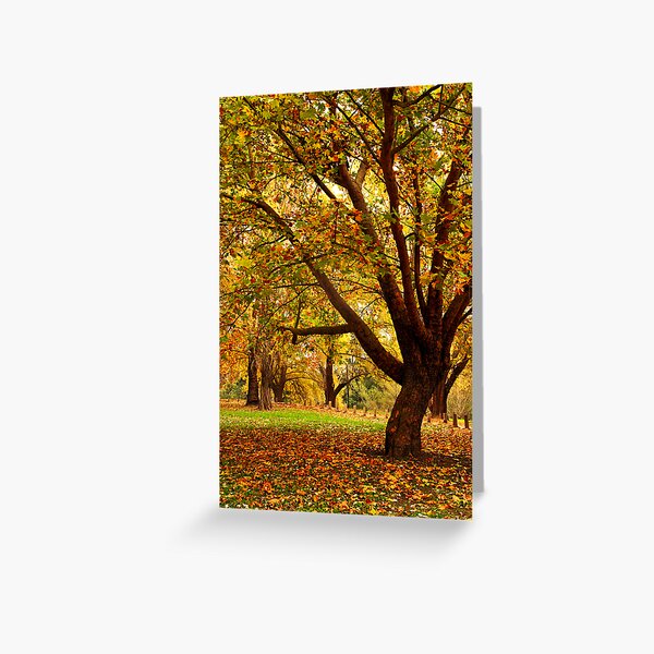 Item preview, Bega during autumn designed and sold by Darren Stones.