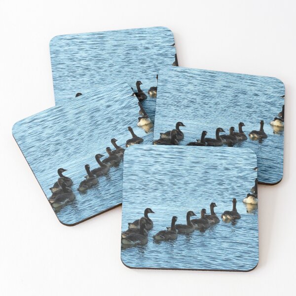 Item preview, Canada Geese Swimming In A Row - Wild Canada Goose Bird designed and sold by BackyardBirder.