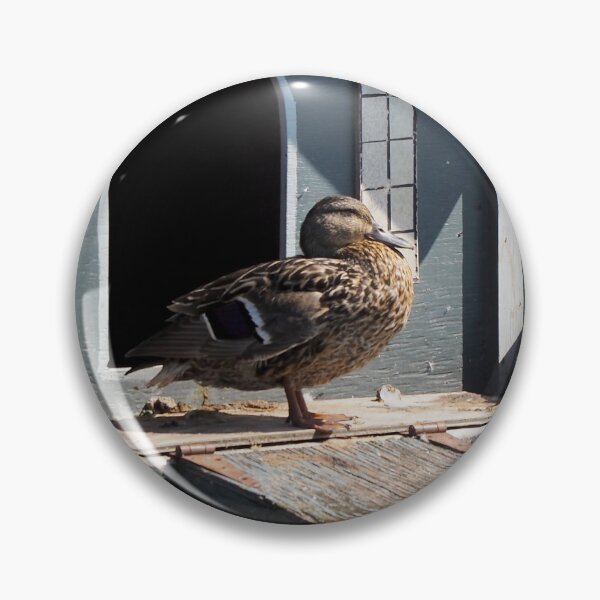 Item preview, Mallard Duck Coming Out Of Its House designed and sold by BackyardBirder.