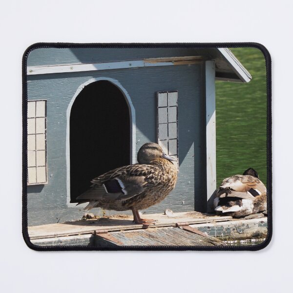 Item preview, Mallard Duck Coming Out Of Its House designed and sold by BackyardBirder.