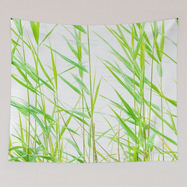 Item preview, Sunshine Makes The Grasses Grow designed and sold by metriognome.