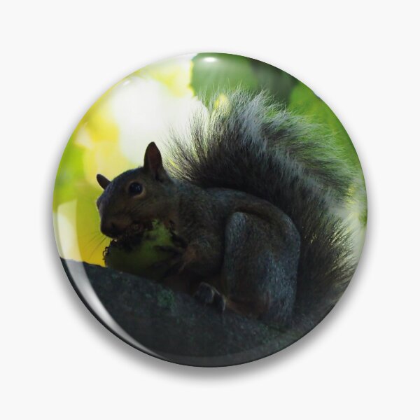 Item preview, Squirrel Eating In A Tree designed and sold by BackyardBirder.