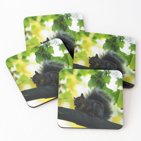 Item preview, Squirrel Eating In A Tree designed and sold by BackyardBirder.
