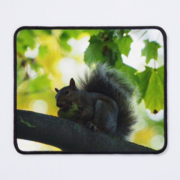 Item preview, Squirrel Eating In A Tree designed and sold by BackyardBirder.
