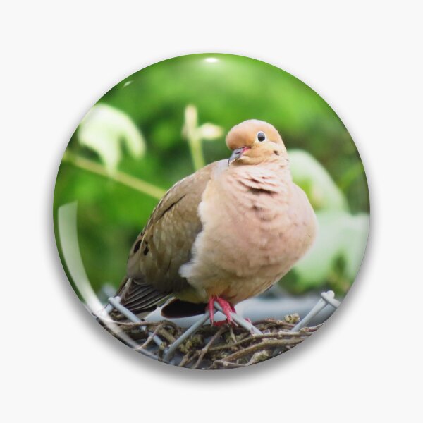 Item preview, Mourning Dove Sitting On A Fence designed and sold by BackyardBirder.