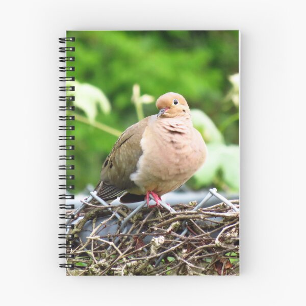 Item preview, Mourning Dove Sitting On A Fence designed and sold by BackyardBirder.