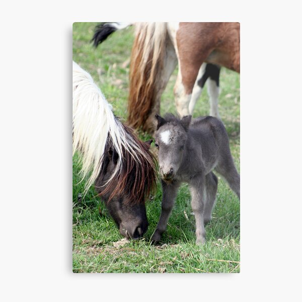 Littlest Angel Metal Print