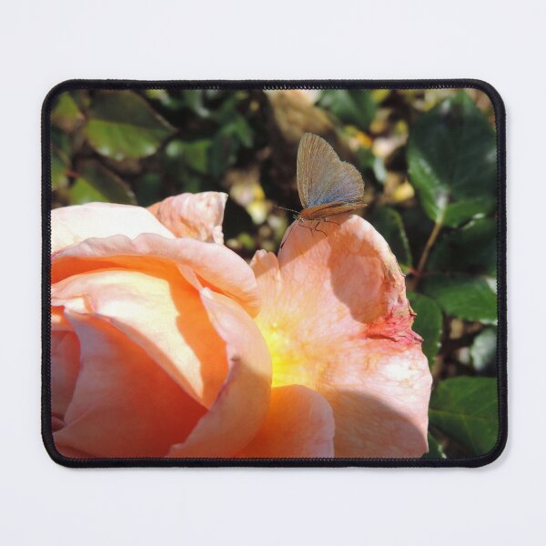 Item preview, The Rose and the Butterfly designed and sold by Marilyn Harris.