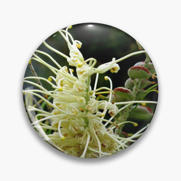Item preview, Grevillea "Moonlight" designed and sold by Marilyn Harris.