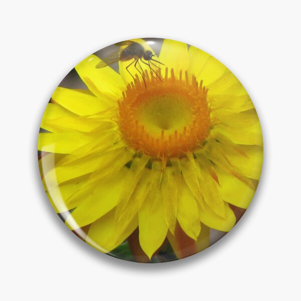 Item preview, Yellow Paper Daisy - Australian Native designed and sold by Marilyn Harris.