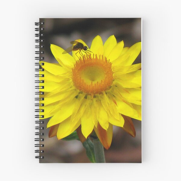 Item preview, Yellow Paper Daisy - Australian Native designed and sold by Marilyn Harris.