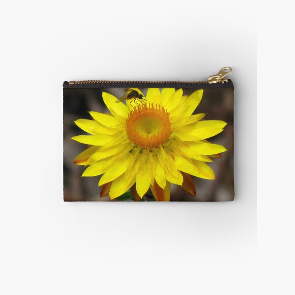 Item preview, Yellow Paper Daisy - Australian Native designed and sold by Marilyn Harris.