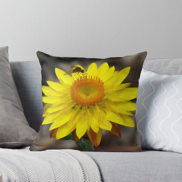 Item preview, Yellow Paper Daisy - Australian Native designed and sold by Marilyn Harris.