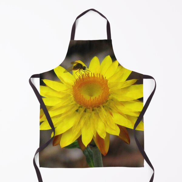 Item preview, Yellow Paper Daisy - Australian Native designed and sold by Marilyn Harris.