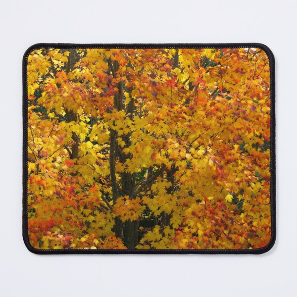 Item preview, Sugar Maple (Acer saccharum) designed and sold by Marilyn Harris.