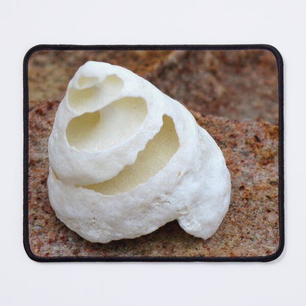 Item preview, Spiral Shell designed and sold by Marilyn Harris.