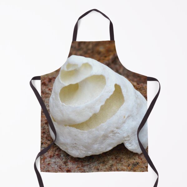 Item preview, Spiral Shell designed and sold by Marilyn Harris.