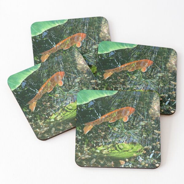 Item preview, Koi in a Pond designed and sold by sebrahn.