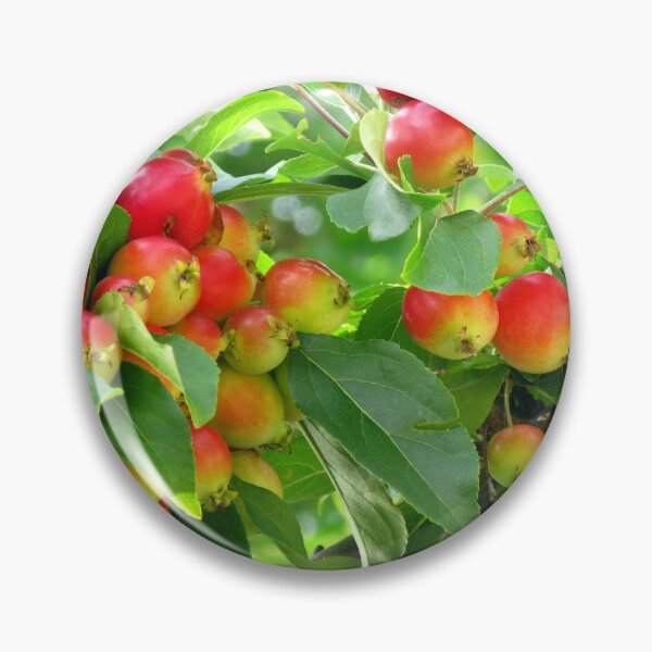 Item preview, Crab Apples designed and sold by Marilyn Harris.