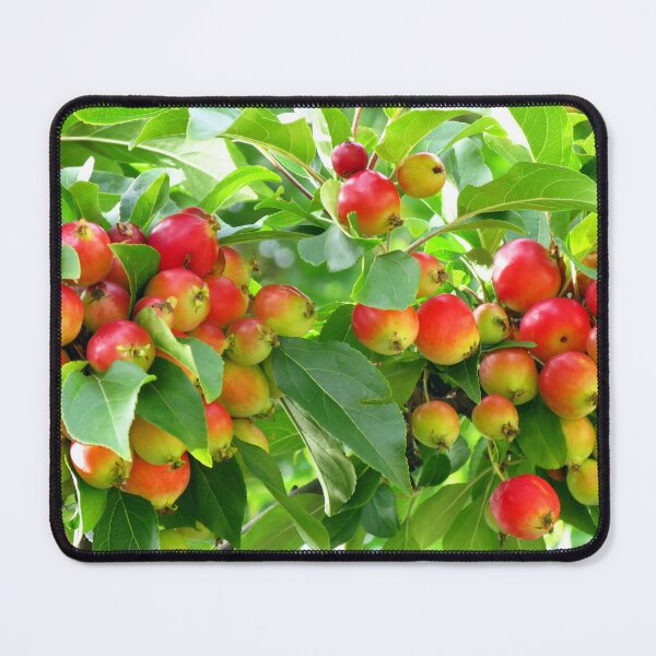Item preview, Crab Apples designed and sold by Marilyn Harris.