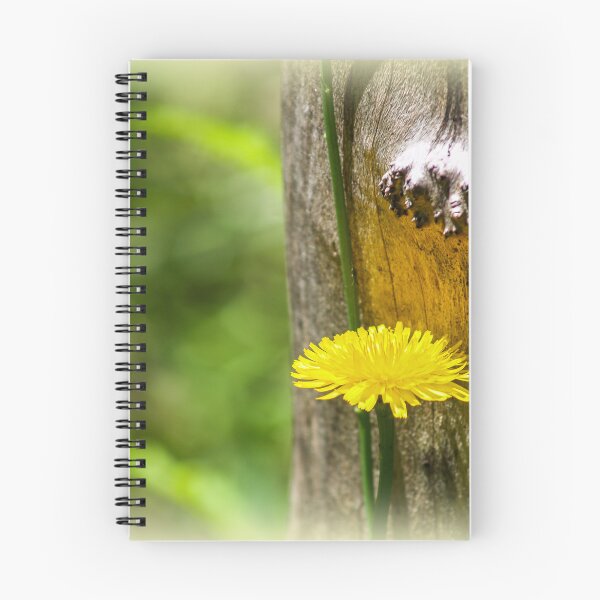 Item preview, Dandelion designed and sold by indiafrankk.