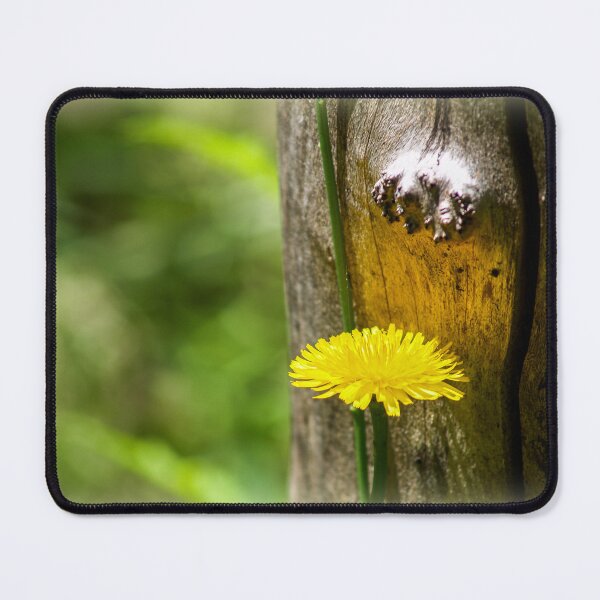 Item preview, Dandelion designed and sold by indiafrankk.