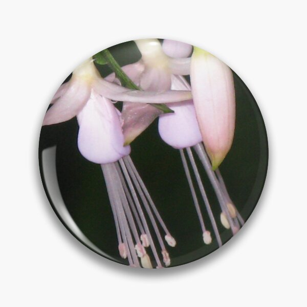Item preview, Pink Fuchsia designed and sold by Marilyn Harris.