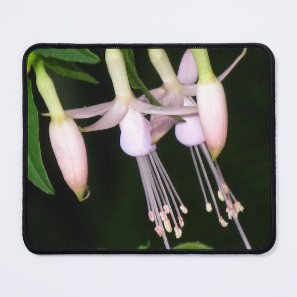 Item preview, Pink Fuchsia designed and sold by Marilyn Harris.