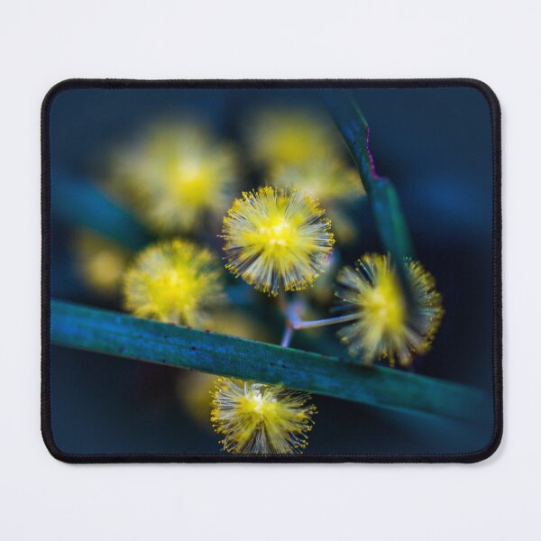 Item preview, Acacia - wattle designed and sold by indiafrankk.