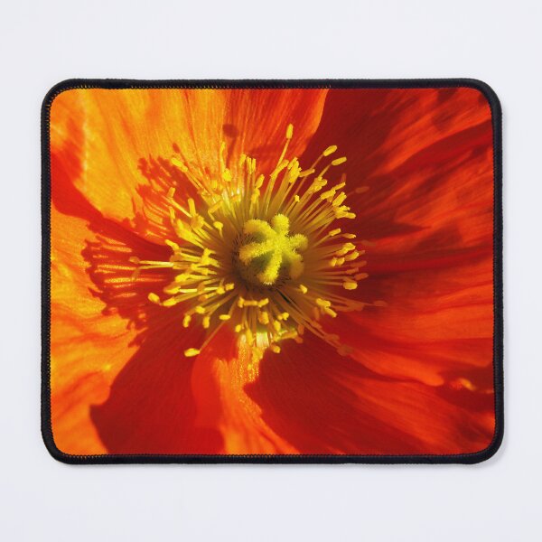 Item preview, Orange Poppy designed and sold by Marilyn Harris.