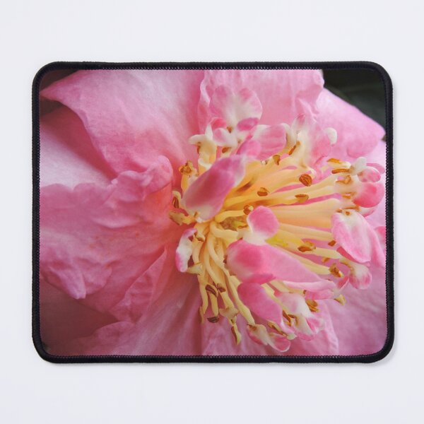 Item preview, Pink Camellia designed and sold by Marilyn Harris.